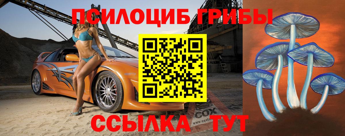 Сарапул  Псилоцибиновые грибы ЛСД  Вход с VPN 